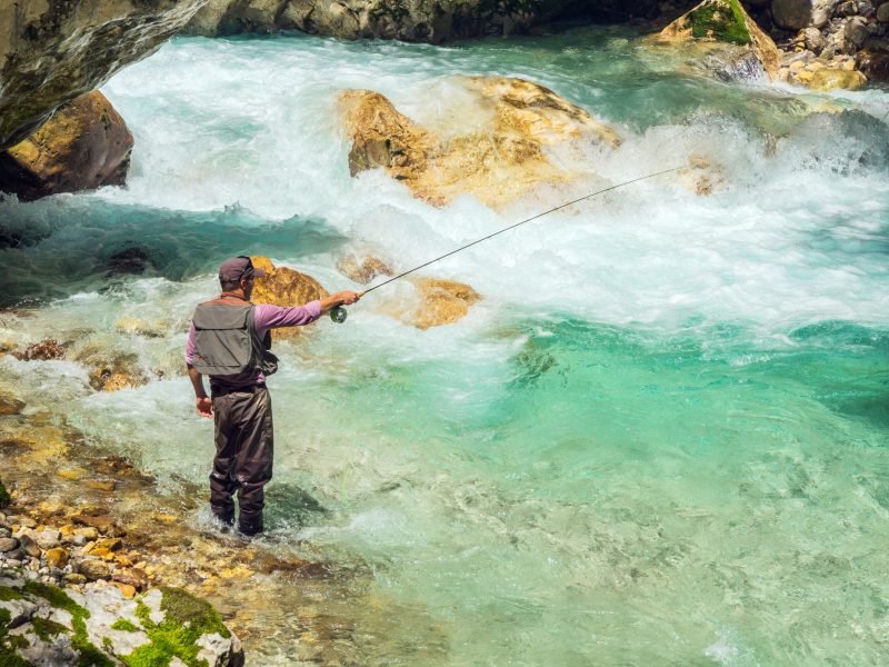 A fly fisherman fishing in a river